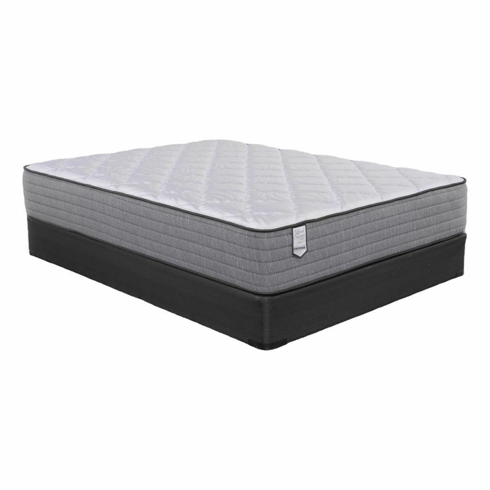 Legends Daphne Queen Mattress Mattresses